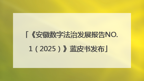 《安徽数字法治发展报告NO.1（2025）》蓝皮书发布