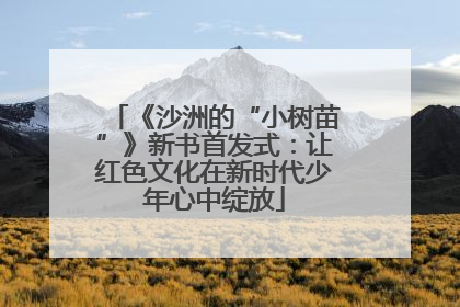 《沙洲的“小树苗”》新书首发式：让红色文化在新时代少年心中绽放