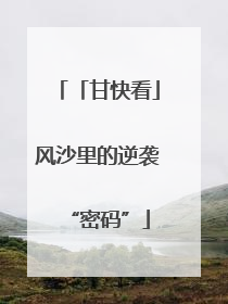 「甘快看」风沙里的逆袭“密码”