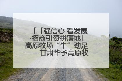 「强信心 看发展·招商引资拼落地」高原牧场“牛”劲足——甘肃华予高原牧场高标准奶牛肉牛养殖项目一线见闻