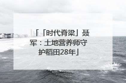 「时代脊梁」聂军：土地营养师守护稻田28年