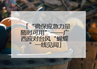 “确保应急力量随时可用”——广西应对台风“蝴蝶”一线见闻