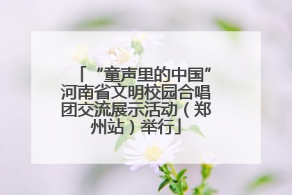 “童声里的中国”河南省文明校园合唱团交流展示活动（郑州站）举行