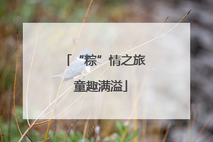 “粽”情之旅 童趣满溢