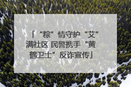 “粽”情守护“艾”满社区 民警携手“黄鹤卫士”反诈宣传