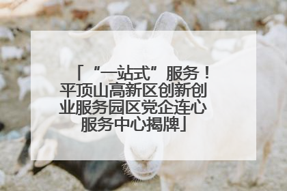 “一站式”服务！平顶山高新区创新创业服务园区党企连心服务中心揭牌