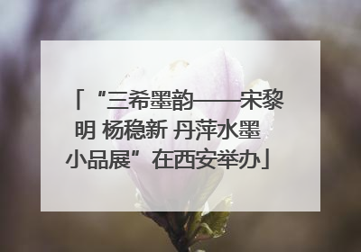 “三希墨韵——宋黎明 杨稳新 丹萍水墨小品展”在西安举办