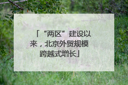 “两区”建设以来，北京外贸规模跨越式增长