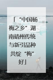 “中国杨梅之乡”湖南靖州传统与新引品种共绽“梅”好