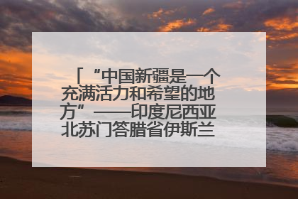 “中国新疆是一个充满活力和希望的地方”——印度尼西亚北苏门答腊省伊斯兰教代表团参访新疆