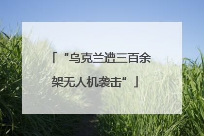 “乌克兰遭三百余架无人机袭击”