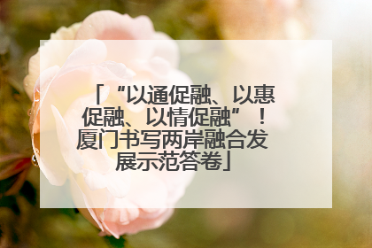 “以通促融、以惠促融、以情促融”！厦门书写两岸融合发展示范答卷