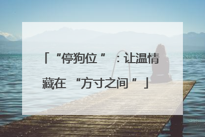 “停狗位 ”：让温情藏在 “方寸之间 ”