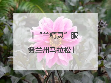 “兰精灵”服务兰州马拉松