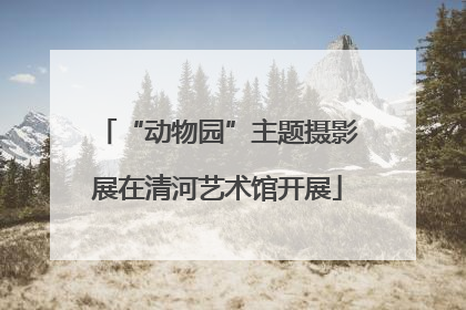 “动物园”主题摄影展在清河艺术馆开展