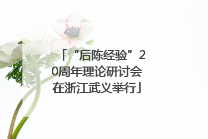 “后陈经验”20周年理论研讨会在浙江武义举行