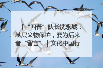 “四普”队长冼永城：基层文物保护，要为后来者“留言”｜文化中国行·我在广东找文物