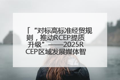 “对标高标准经贸规则，推动RCEP提质升级”——2025RCEP区域发展媒体智库论坛举行专题对话