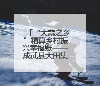 “大蒜之乡”精算乡村振兴幸福账——成武县大田集镇见闻