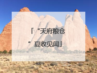 “天府粮仓”夏收见闻