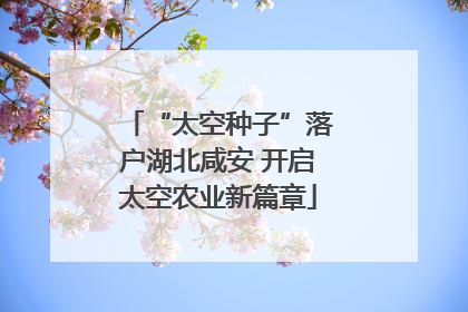 “太空种子”落户湖北咸安 开启太空农业新篇章