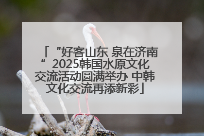 “好客山东 泉在济南”2025韩国水原文化交流活动圆满举办 中韩文化交流再添新彩