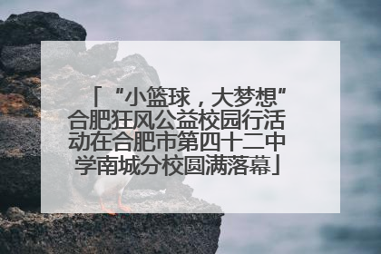“小篮球，大梦想”合肥狂风公益校园行活动在合肥市第四十二中学南城分校圆满落幕