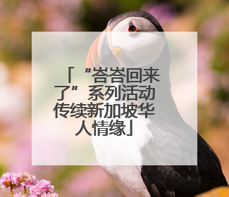 “峇峇回来了”系列活动传续新加坡华人情缘