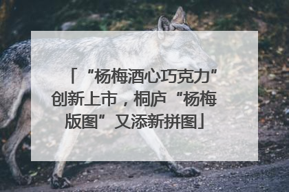 “杨梅酒心巧克力”创新上市，桐庐“杨梅版图”又添新拼图