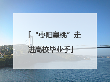 “枣阳皇桃”走进高校毕业季