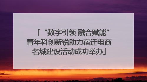 “数字引领 融合赋能”青年科创新锐助力宿迁电商名城建设活动成功举办