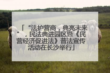 “法护营商，典亮未来”，民法典进园区暨《民营经济促进法》普法宣传活动在长沙举行