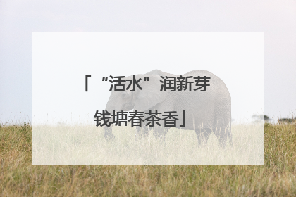 “活水”润新芽 钱塘春茶香