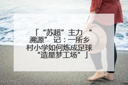“苏超”主力 “溯源” 记：一所乡村小学如何炼成足球 “造星梦工场”