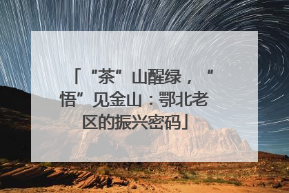 “茶”山醒绿，“悟”见金山：鄂北老区的振兴密码