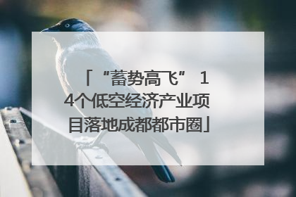 “蓄势高飞” 14个低空经济产业项目落地成都都市圈