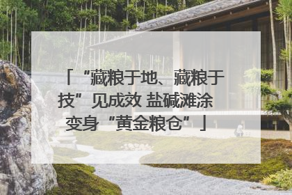 “藏粮于地、藏粮于技”见成效 盐碱滩涂变身“黄金粮仓”