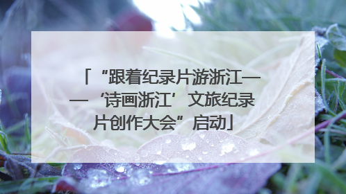 “跟着纪录片游浙江——‘诗画浙江’文旅纪录片创作大会”启动