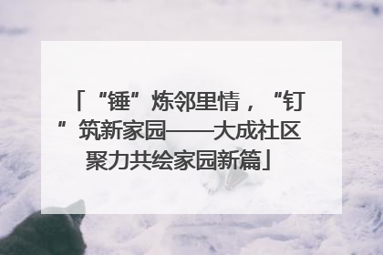 “锤”炼邻里情，“钉”筑新家园——大成社区聚力共绘家园新篇