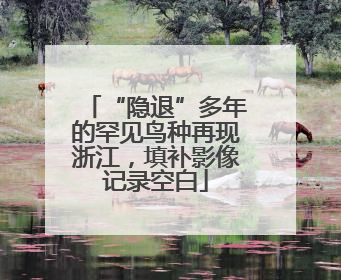“隐退”多年的罕见鸟种再现浙江，填补影像记录空白