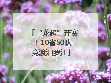 “龙超”开赛！10省50队竞渡汨罗江