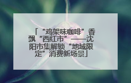 “鸡架味咖啡”香飘“西红市”——沈阳市集解锁“地域限定”消费新场景