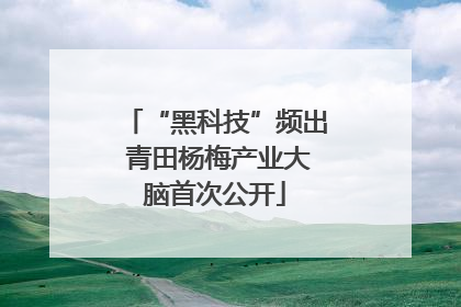“黑科技”频出 青田杨梅产业大脑首次公开
