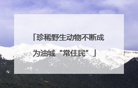 珍稀野生动物不断成为油城“常住民”