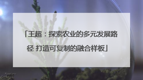 王超：探索农业的多元发展路径 打造可复制的融合样板
