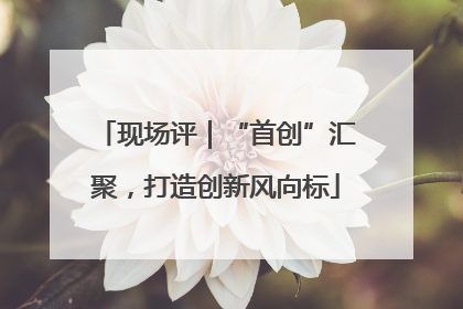 现场评｜“首创”汇聚，打造创新风向标