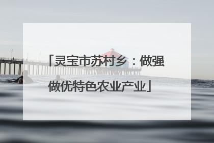 灵宝市苏村乡：做强做优特色农业产业
