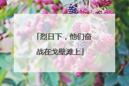 烈日下，他们奋战在戈壁滩上