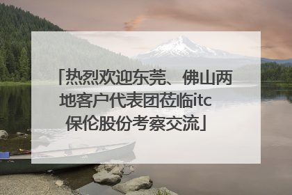 热烈欢迎东莞、佛山两地客户代表团莅临itc保伦股份考察交流