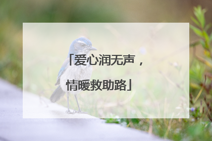 爱心润无声，情暖救助路